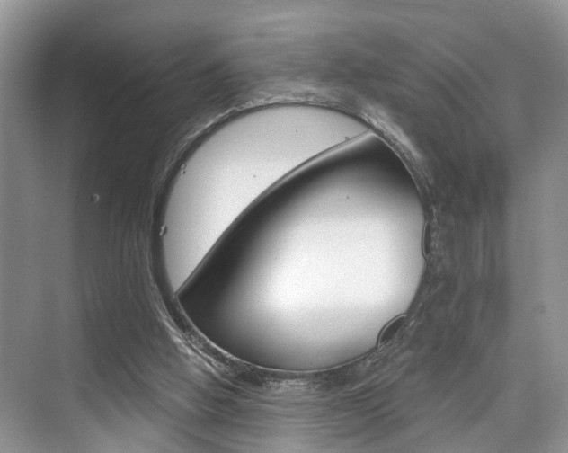 X0000076070058200609221004