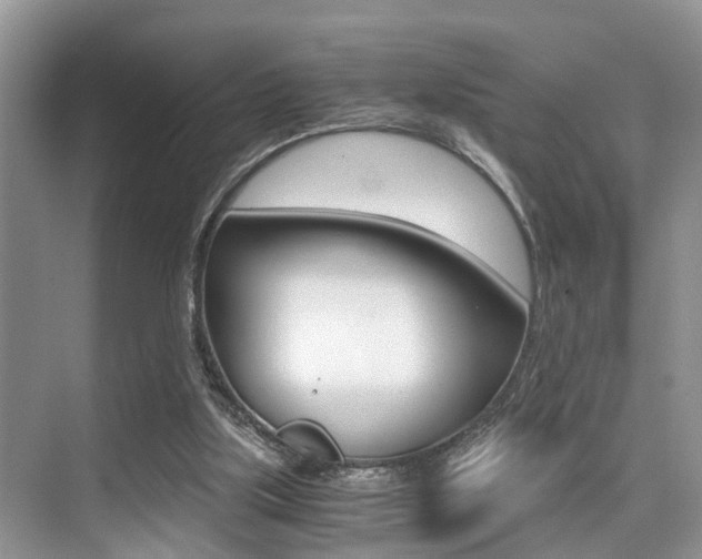 X0000076070059200609221004