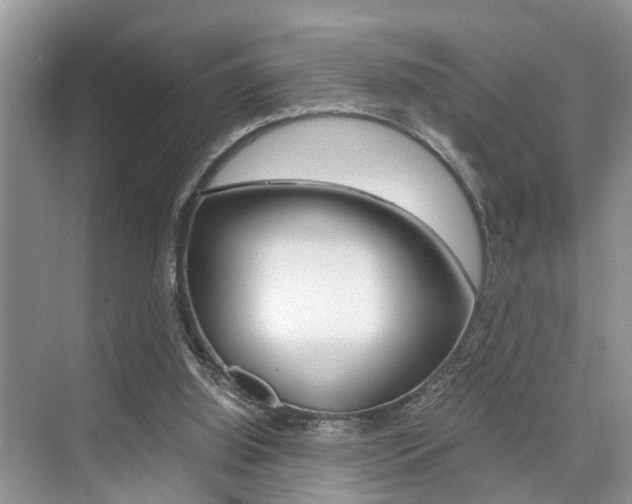 X0000076070060200609221004