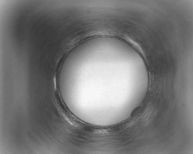 X0000076070061200609221004