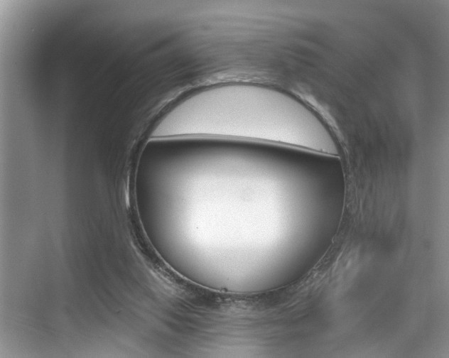 X0000076070062200609221004