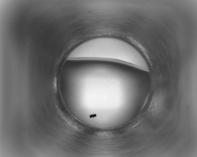 X0000076070067200609221004