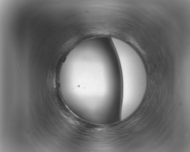 X0000076070068200609221004