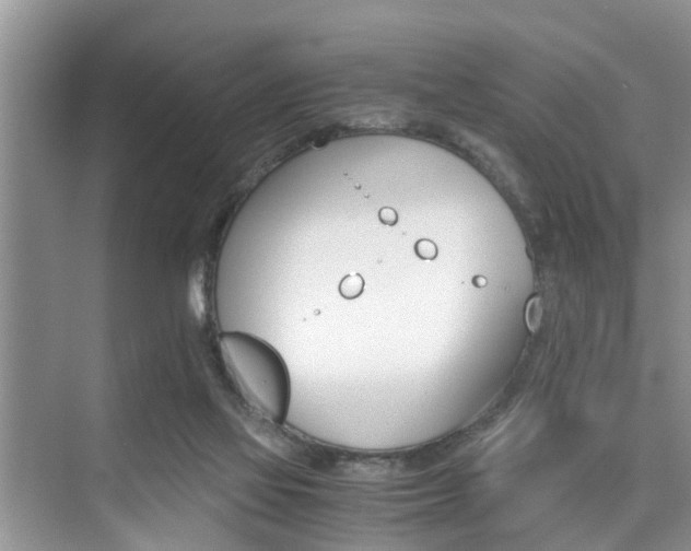 X0000076070069200609221004