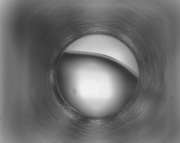 X0000076070071200609221004