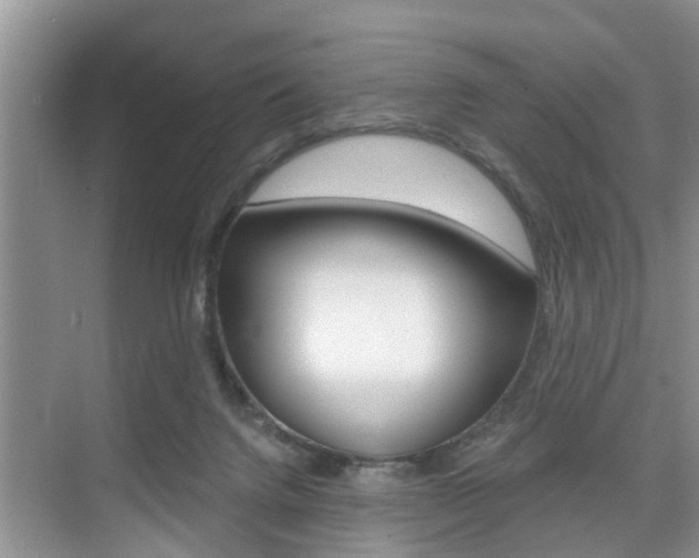 X0000076070072200609221004