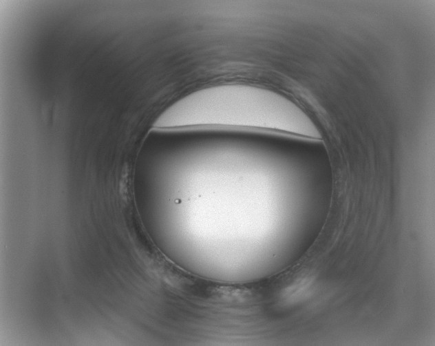 X0000076070073200609221004