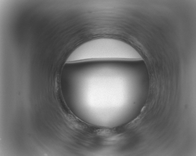 X0000076070074200609221004