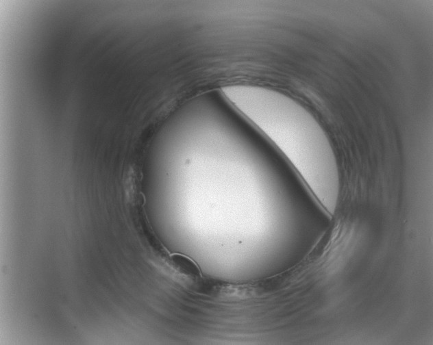 X0000076070077200609221004