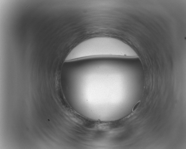 X0000076070078200609221004