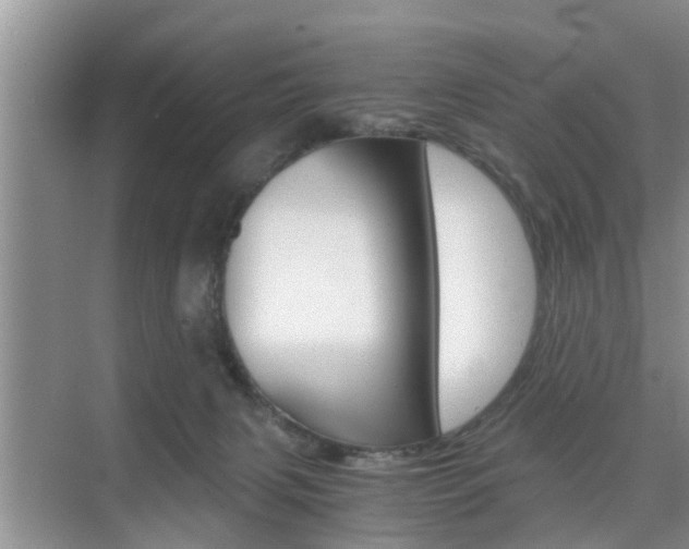 X0000076070079200609221004