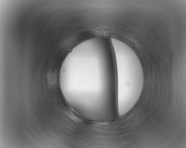 X0000076070081200609221004