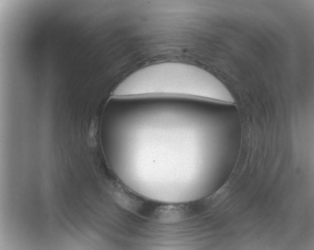 X0000076070082200609221004