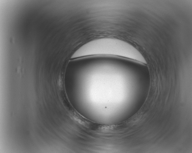 X0000076070084200609221004