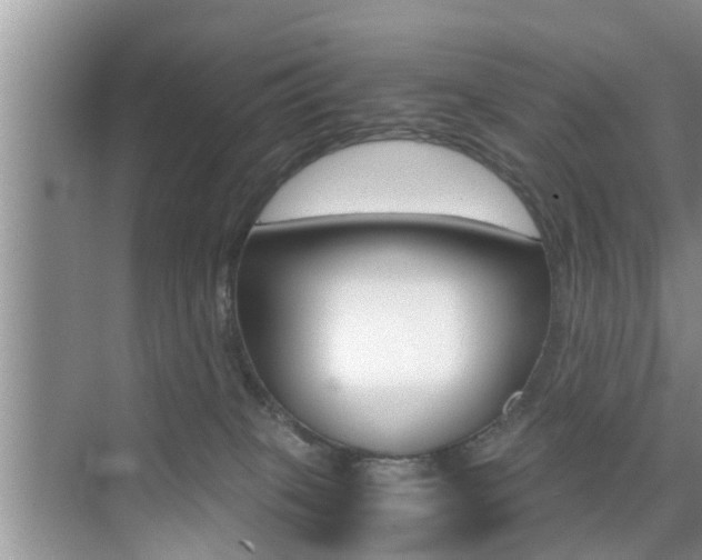 X0000076070085200609221004