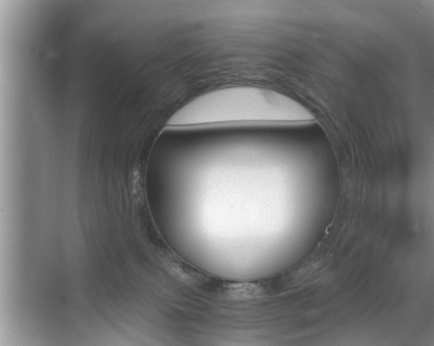 X0000076070087200609221004