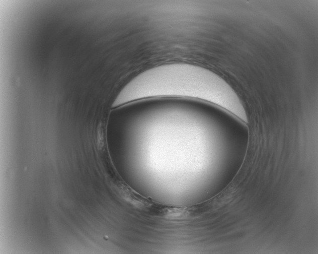 X0000076070088200609221004