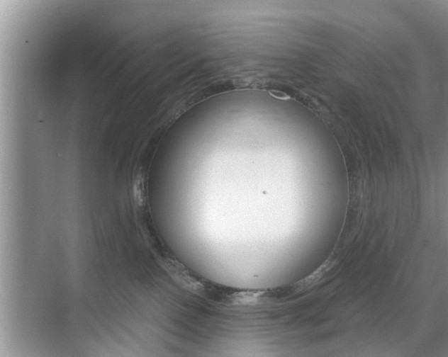 X0000076070090200609221004