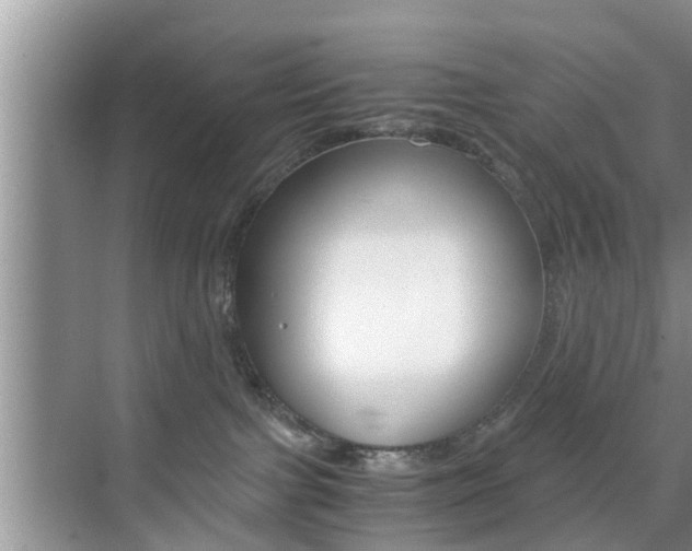 X0000076070091200609221004