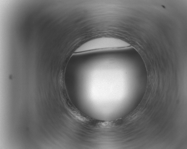 X0000076070092200609221004