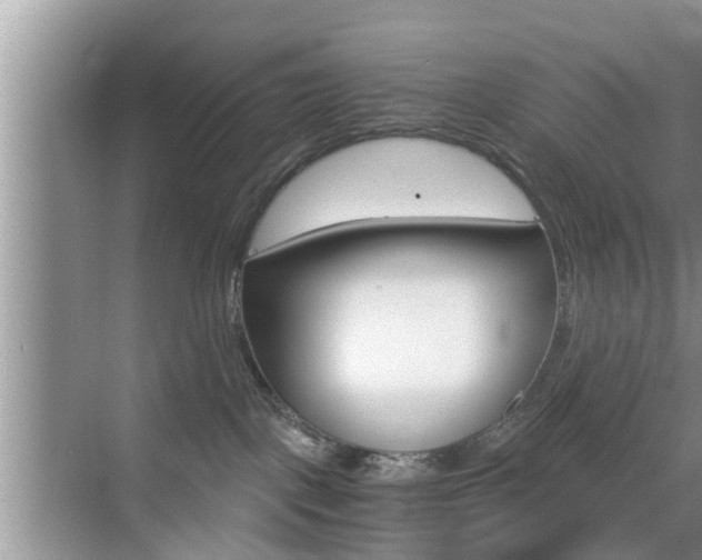 X0000076070093200609221004