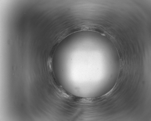 X0000076070094200609221004