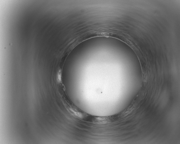 X0000076070095200609221004