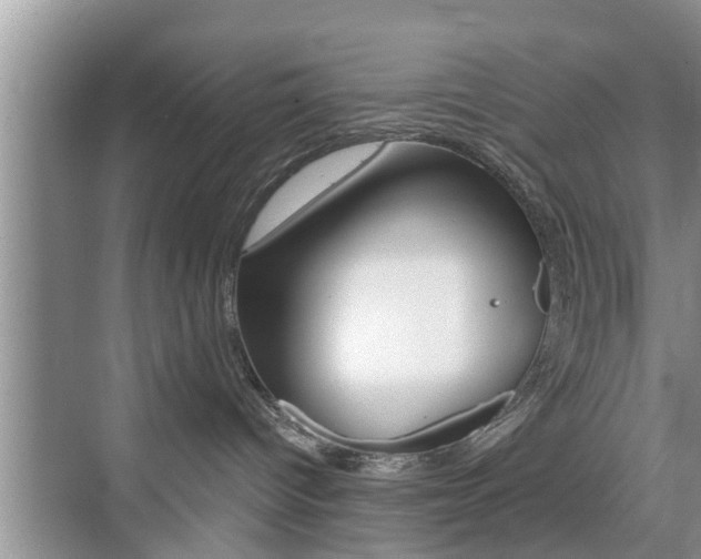 X0000076070096200609221004