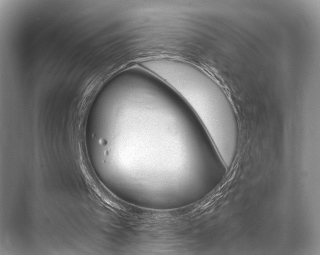 X0000076070097200609221004