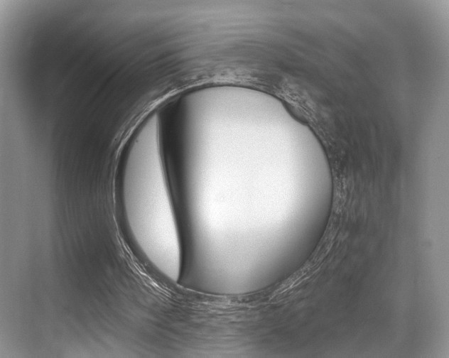 X0000076070098200609221004