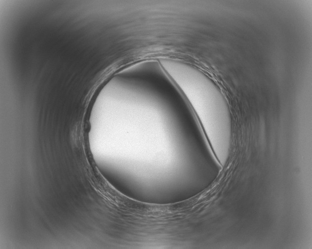 X0000076070099200609221004