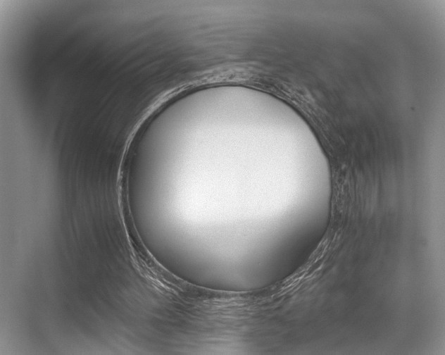 X0000076070100200609221004