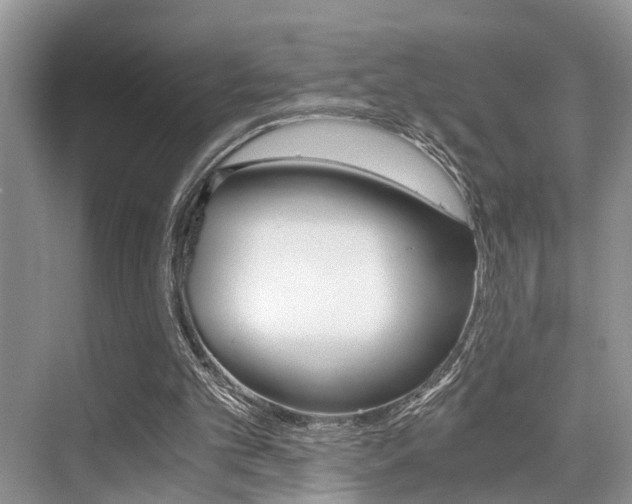 X0000076070101200609221004