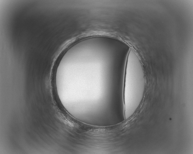 X0000076070104200609221003