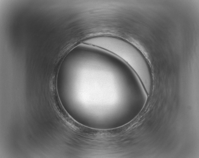 X0000076070105200609221003