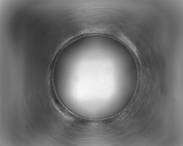 X0000076070107200609221003