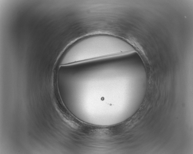 X0000076070108200609221003