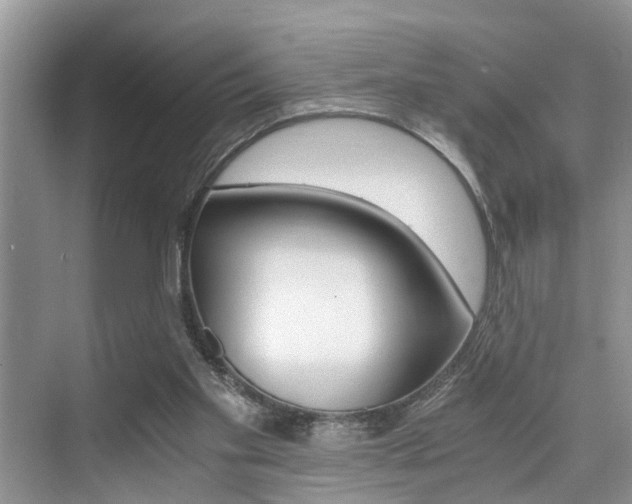 X0000076070109200609221003