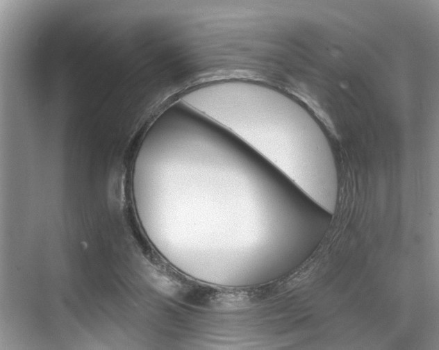 X0000076070110200609221003