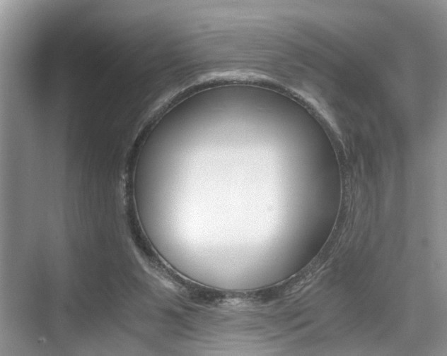 X0000076070111200609221003