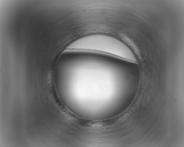 X0000076070113200609221003