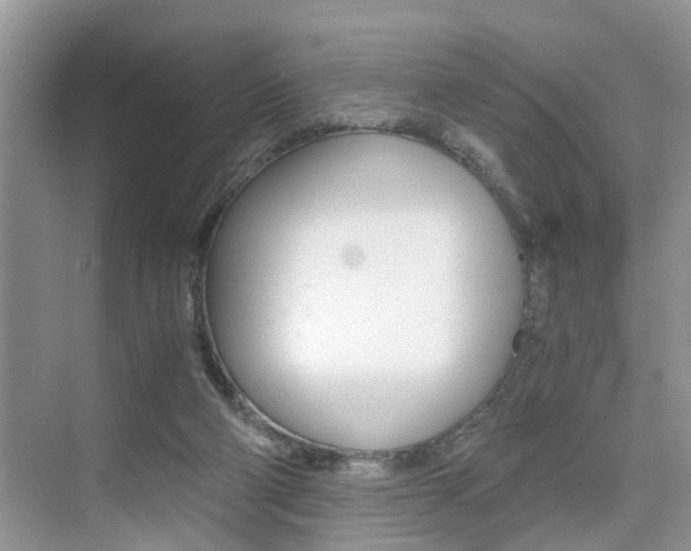 X0000076070114200609221003