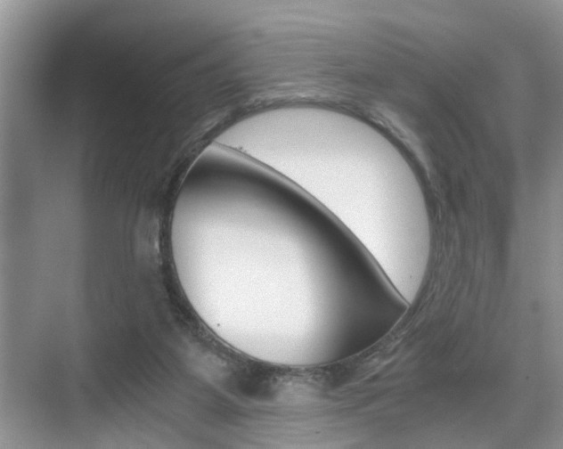 X0000076070115200609221003