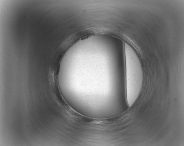 X0000076070117200609221003