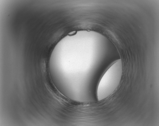 X0000076070120200609221003