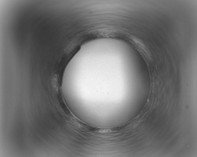 X0000076070121200609221003