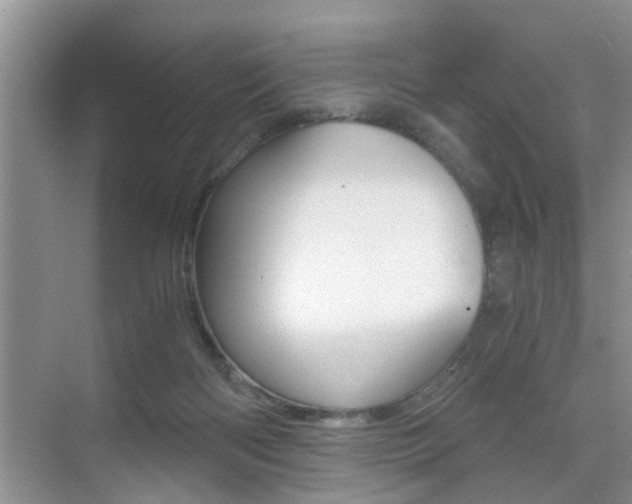 X0000076070122200609221003