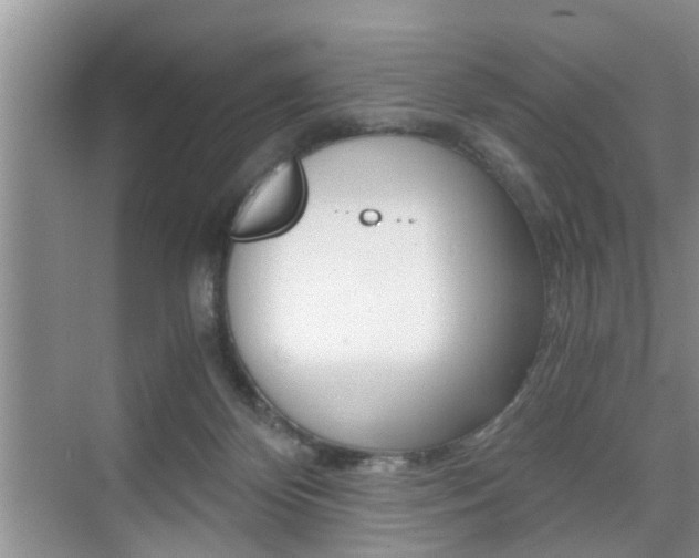 X0000076070124200609221003