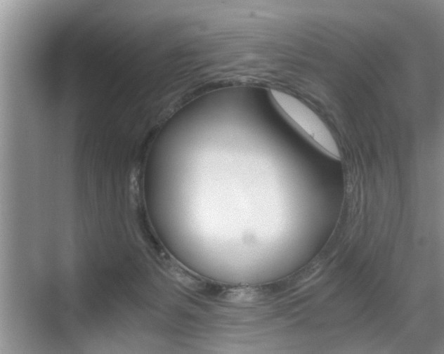 X0000076070127200609221003