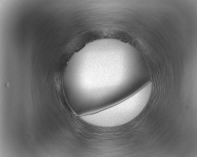 X0000076070129200609221003